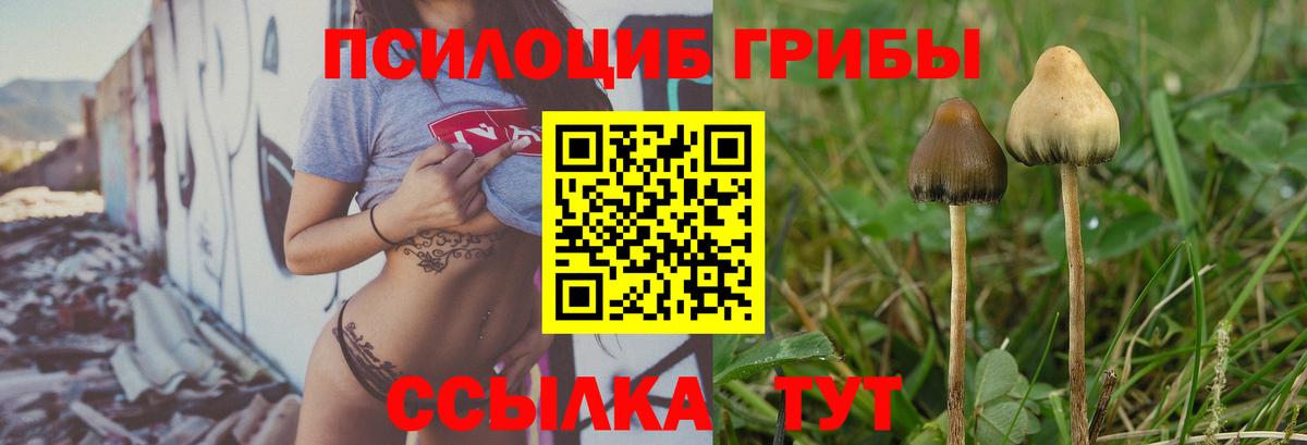 Галлюциногенные грибы мухоморы  Вход с VPN  Коркино 