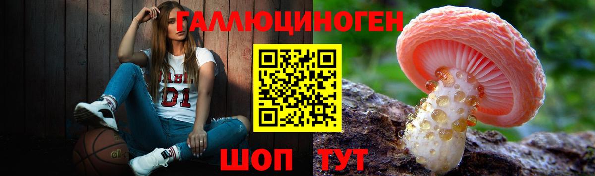 Галлюциногенные грибы GOLDEN TEACHER Коркино